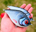 Flatan jr - Arctic shad